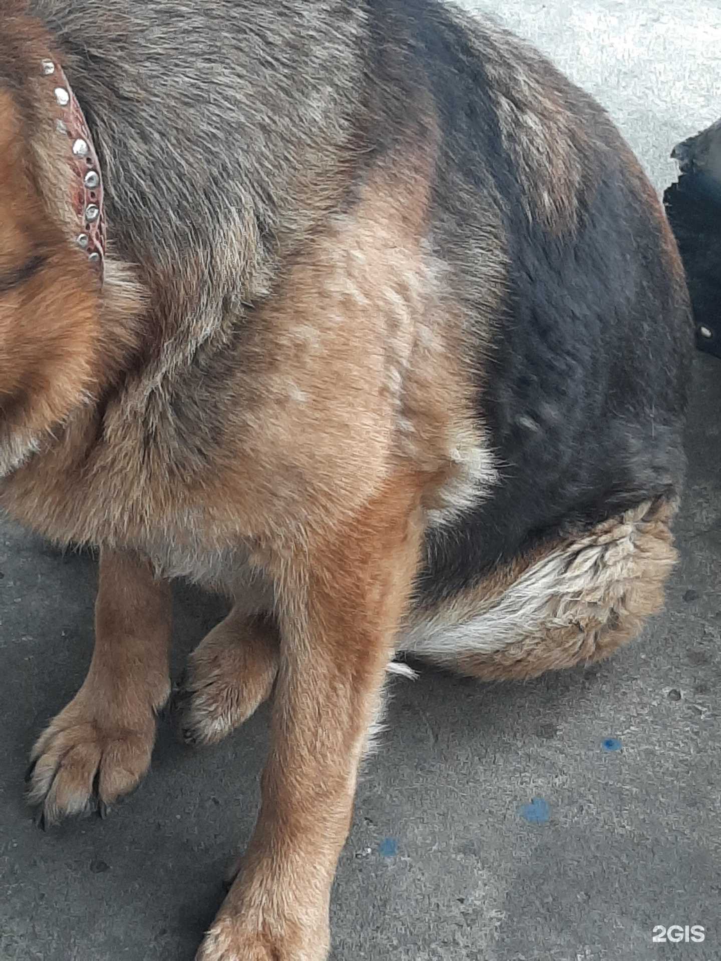 Отзывы на компанию Troshina  в Бийске c фото - фотография 2 из 2