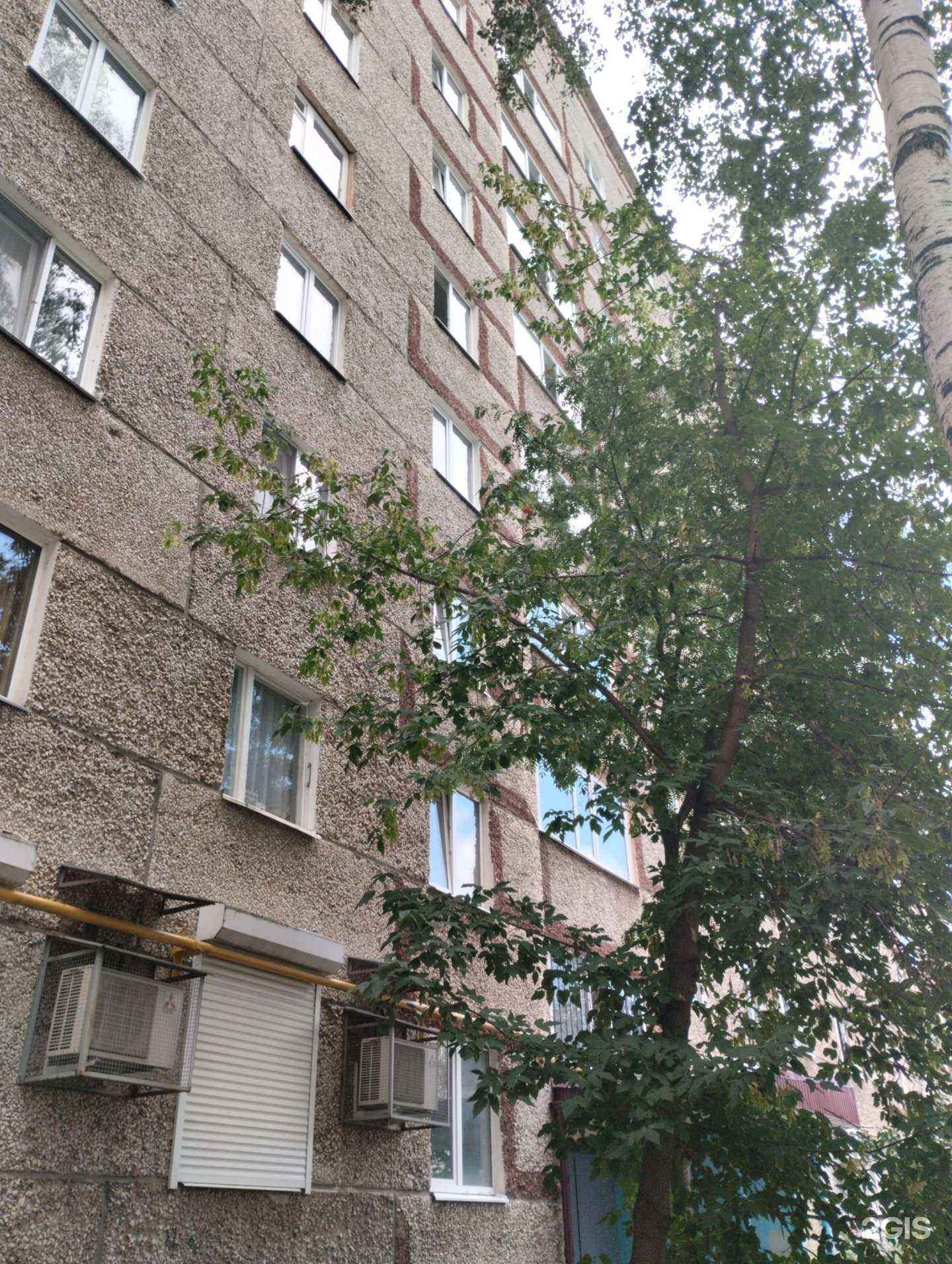 Отзывы на компанию Belishco в Ижевске c фото