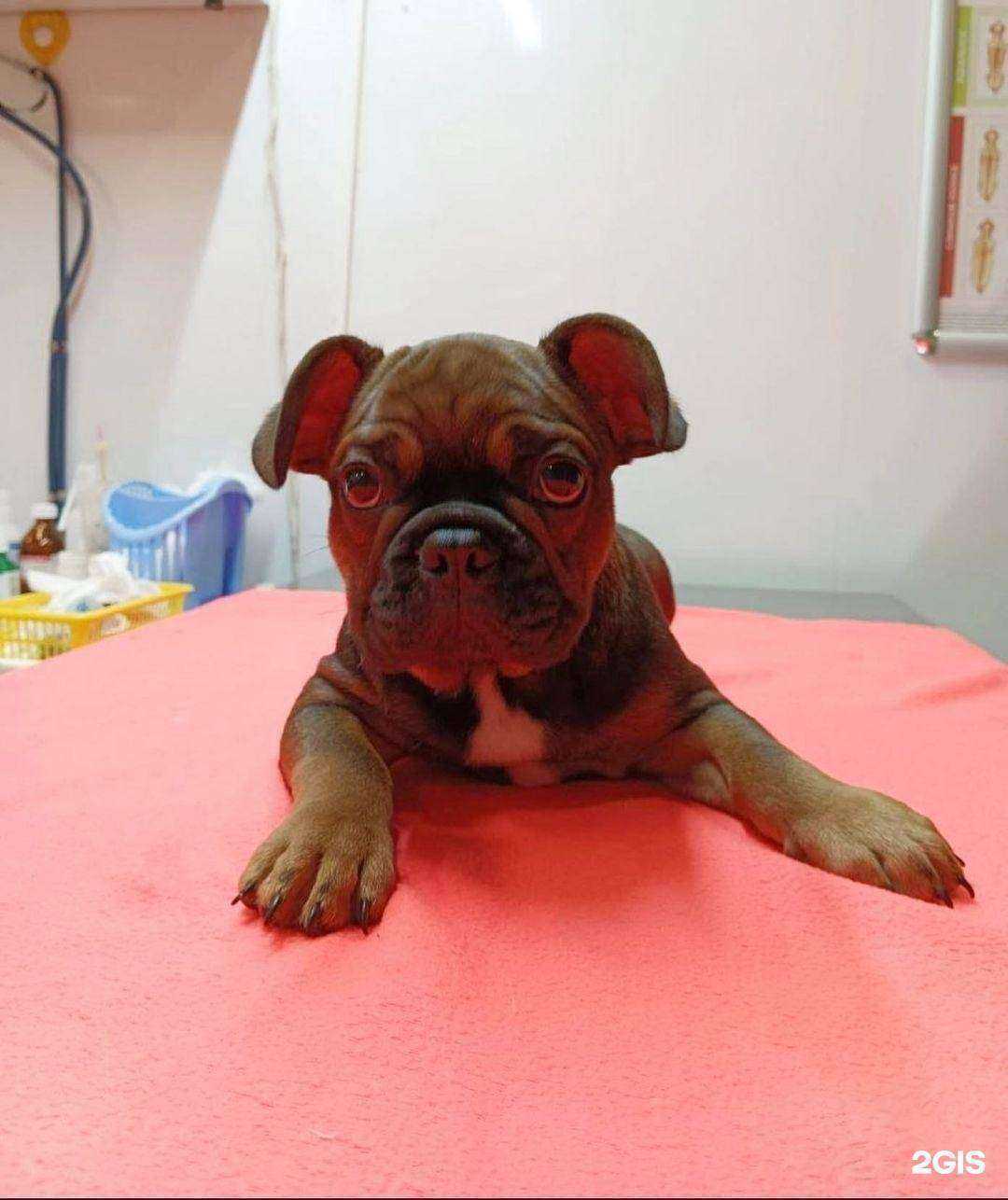 Отзывы на компанию Бетховен в г. Курск c фото