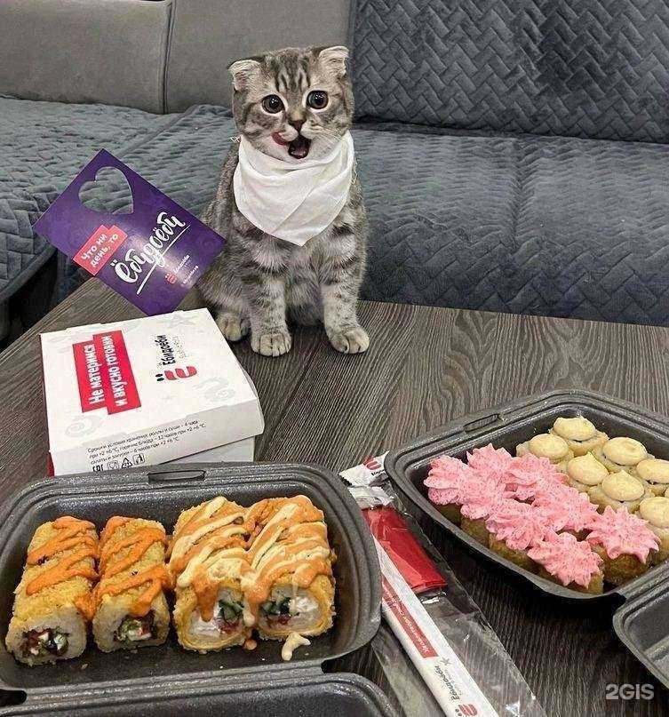 Отзывы на компанию Ёбидоёби в г. Нижний Тагил c фото