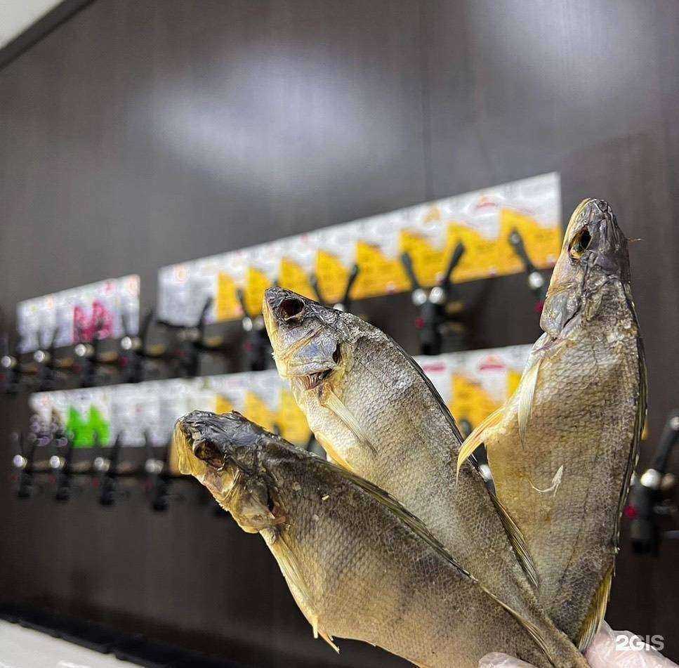 Отзывы на компанию Ы в г. Норильск c фото