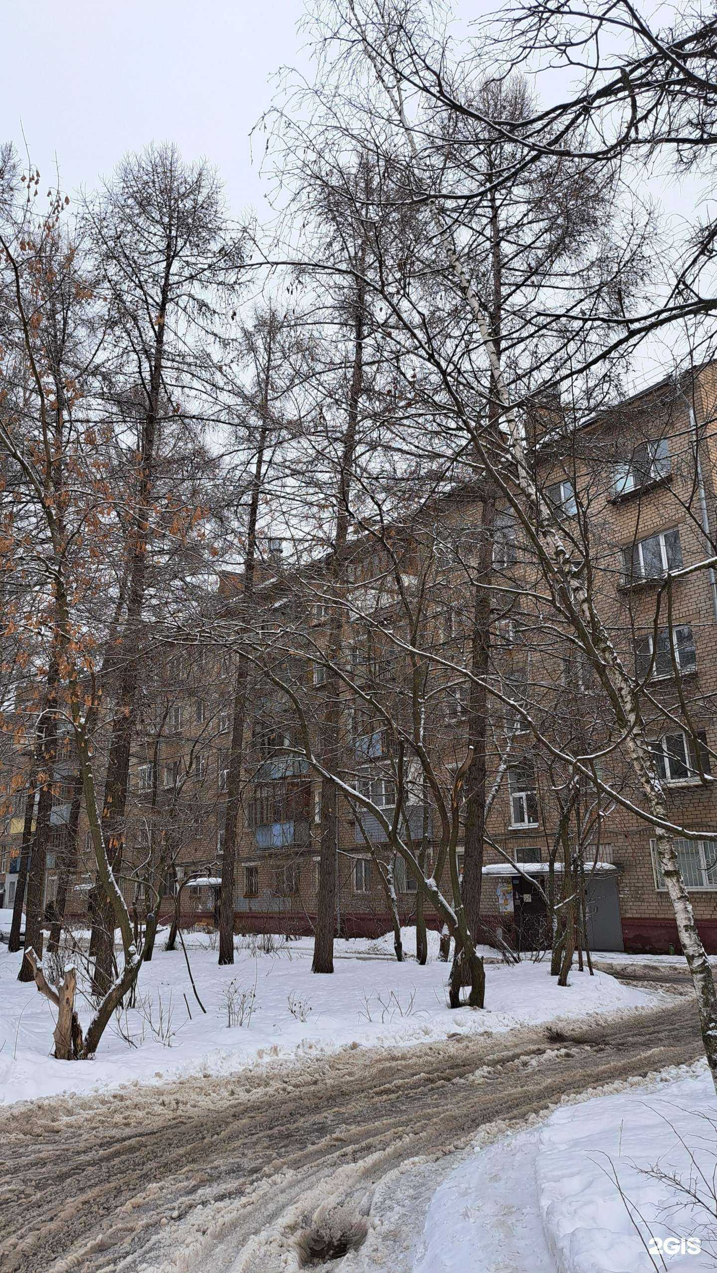 Отзывы на компанию Здравсити в Ярославле c фото - фотография 2 из 2