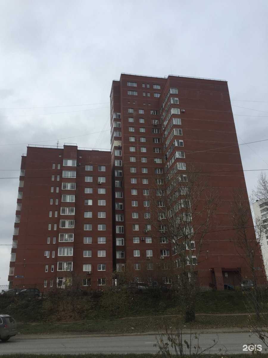 Отзывы на компанию Шмель в Перми c фото - фотография 2 из 2