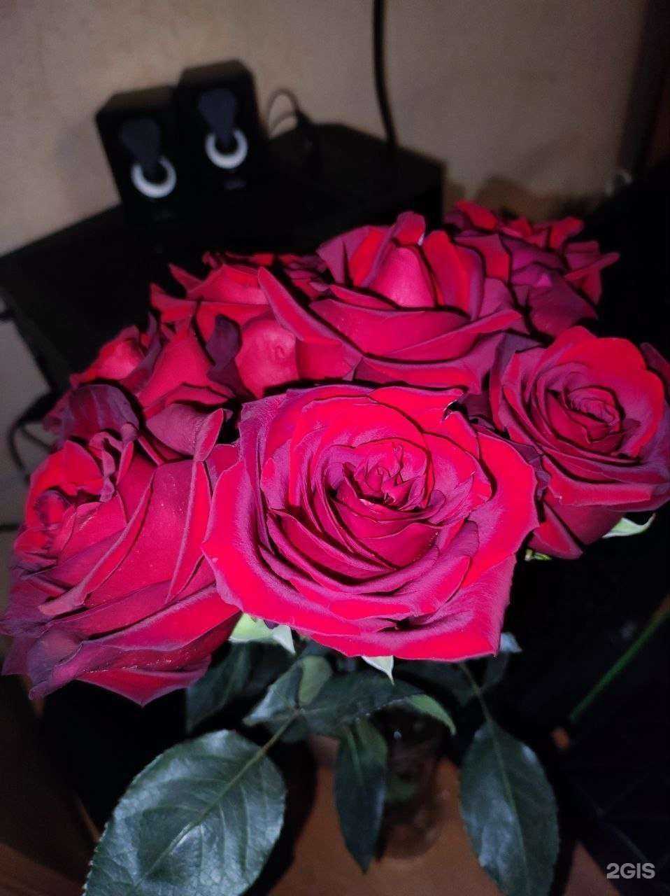 Отзывы на компанию Флора в Искитиме c фото