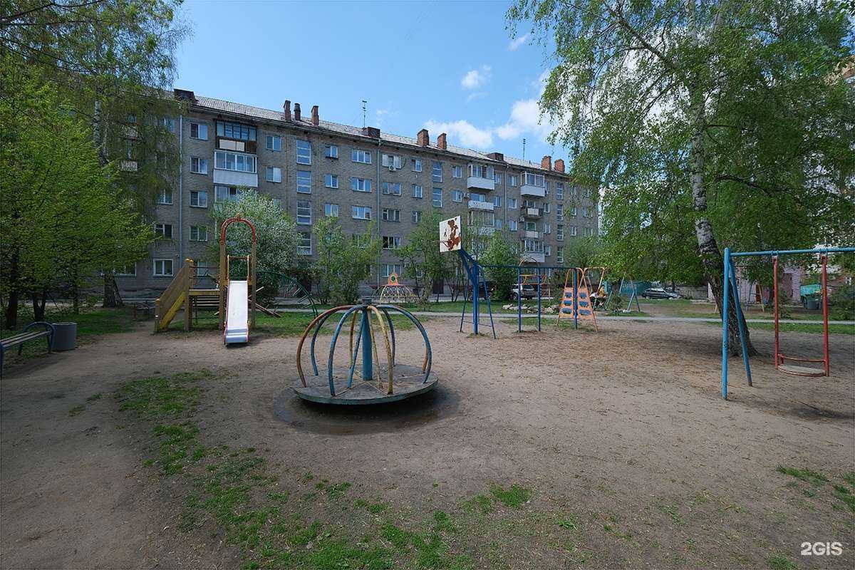 Отзывы на компанию Лап Лапыч в Новосибирске c фото - фотография 2 из 2