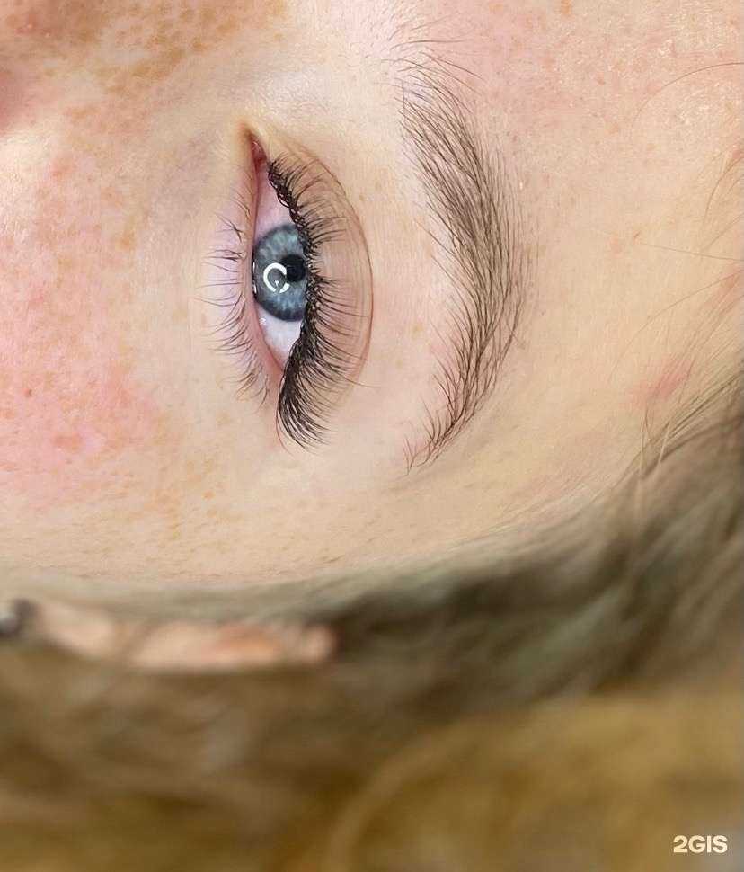 Отзывы на компанию Prolashes в г. Курган c фото