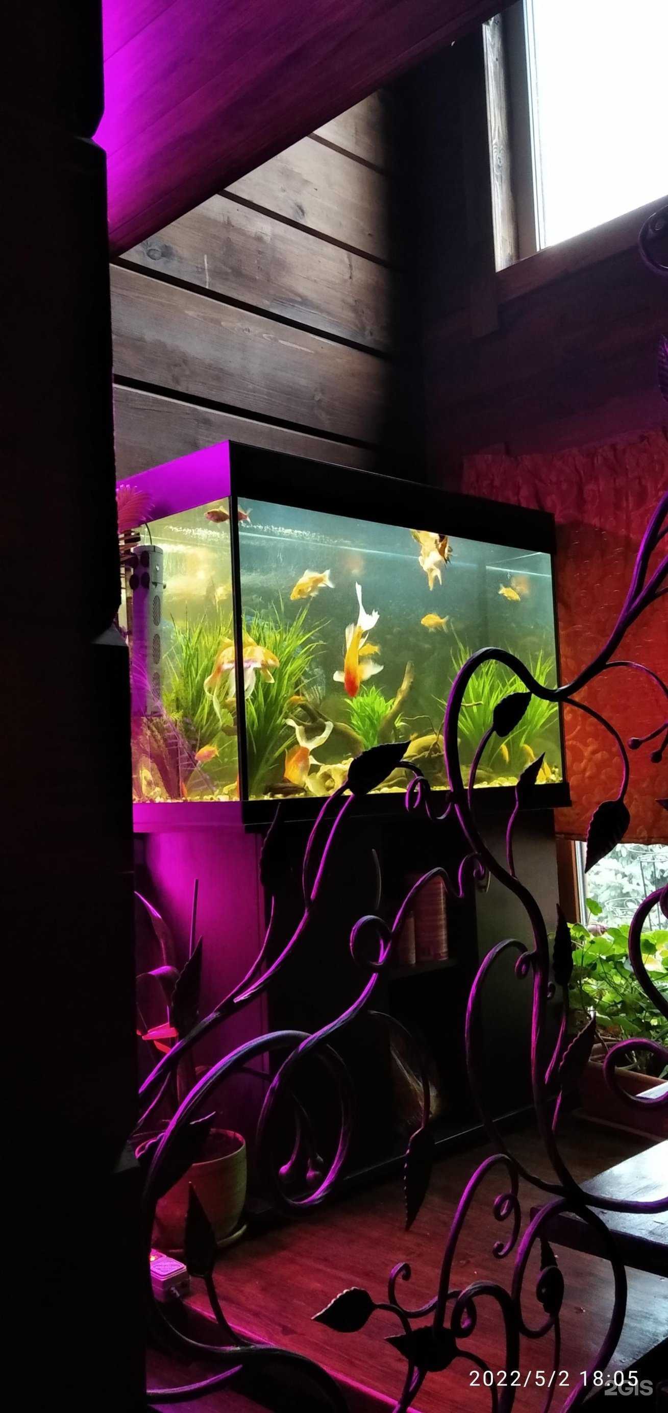 Отзывы на компанию Аква-Спектр в г. Щёлково c фото