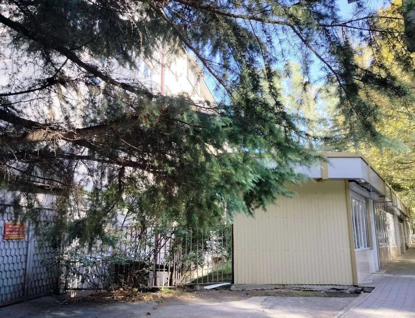 Отзывы на компанию Моська в Сочи c фото - фотография 2 из 2