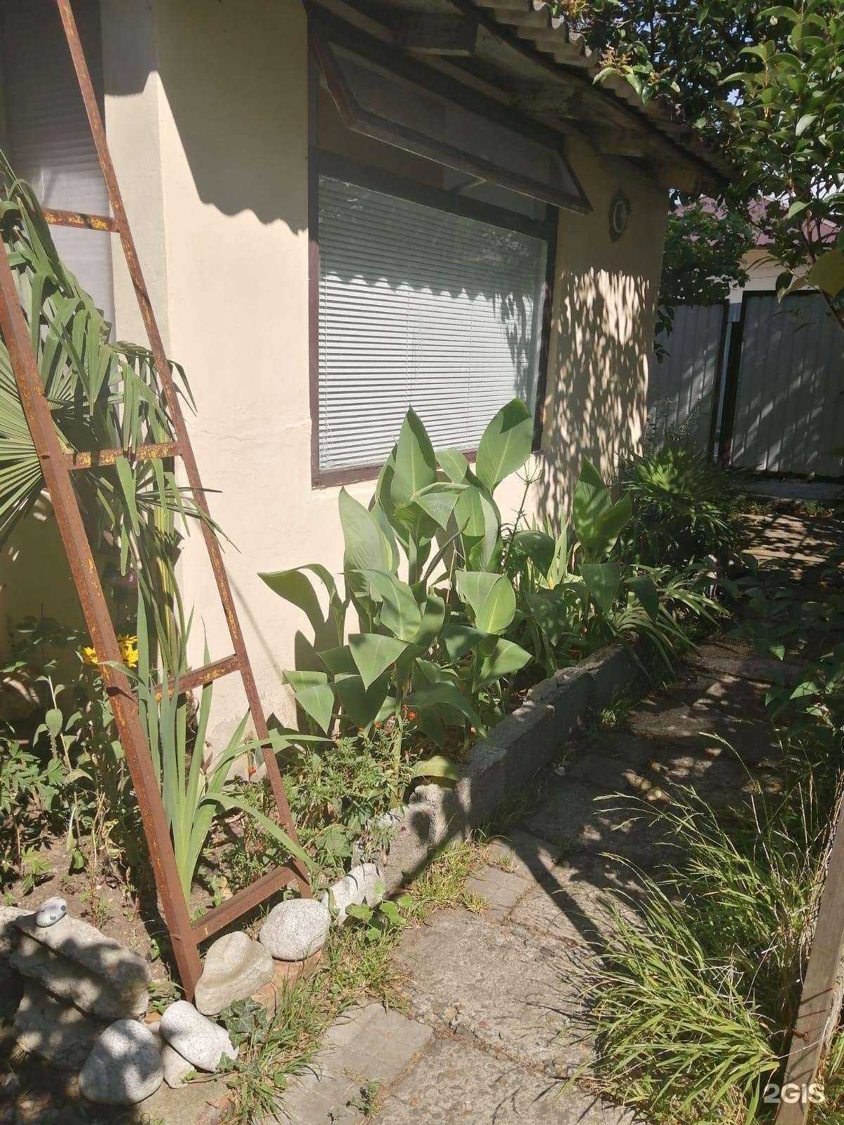 Отзывы на компанию Отдых у моря в г. Сочи c фото