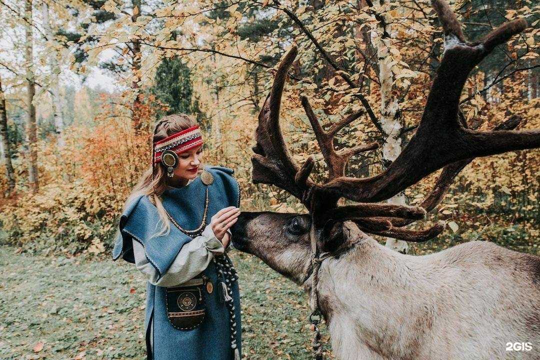 Отзывы на компанию Культурно-досуговый центр в жилом районе Древлянка в Петрозаводске c фото
