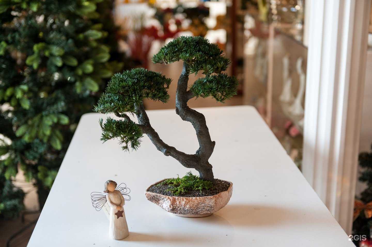 Отзывы на компанию Цветущий сад в г. Находка c фото