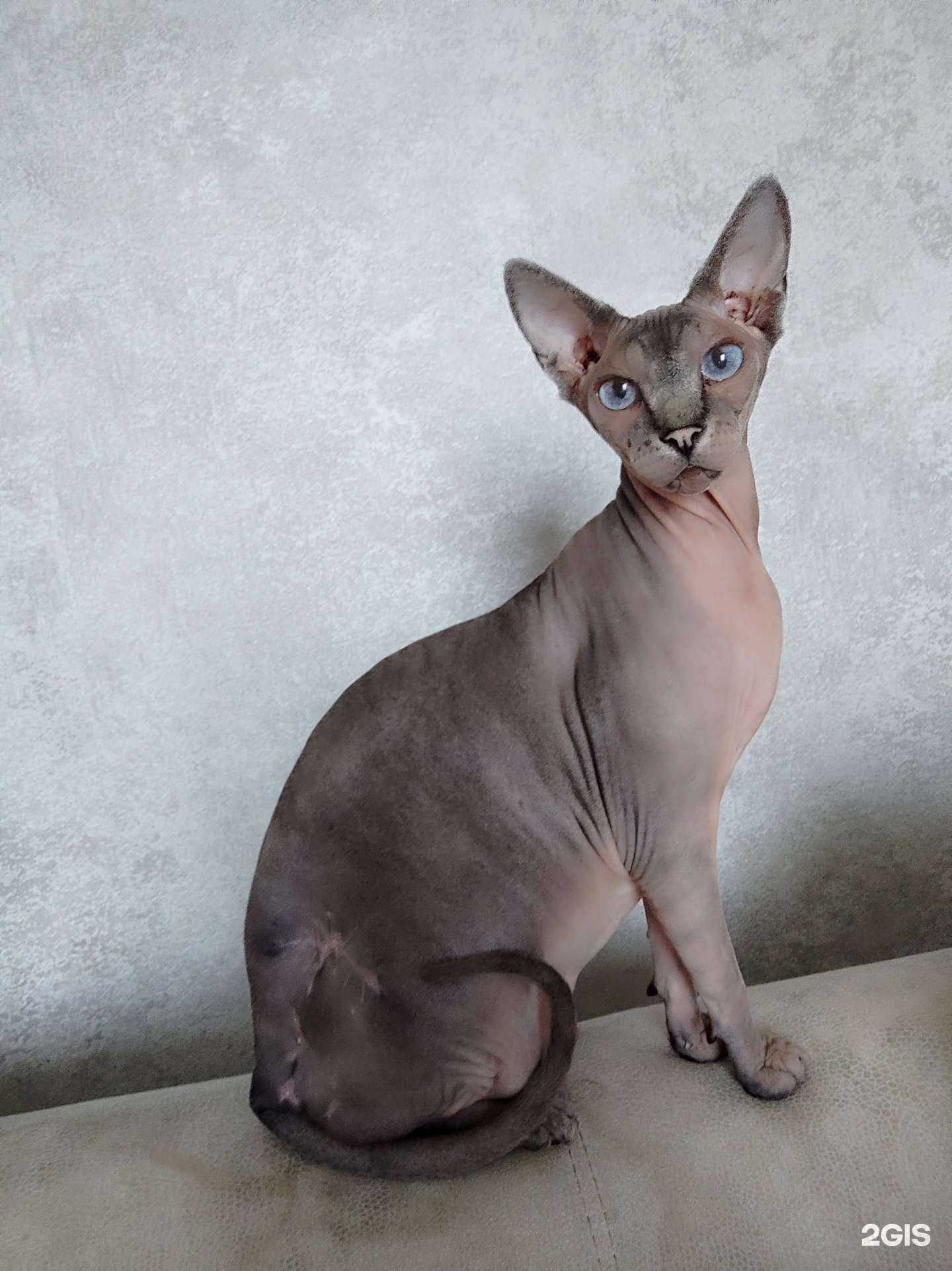 Отзывы на компанию Вет-Плюс в г. Барнаул c фото