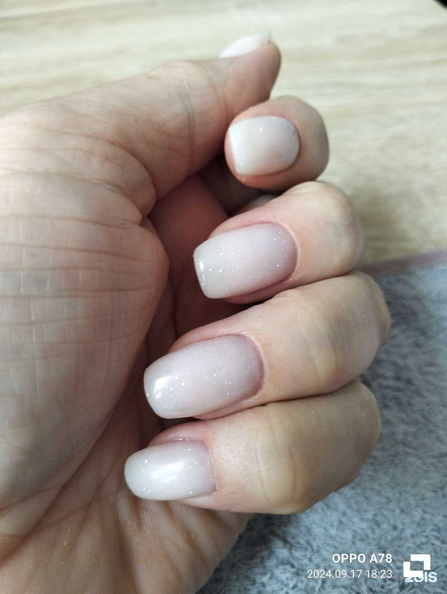 Отзывы на компанию Багира в г. Большой Камень c фото