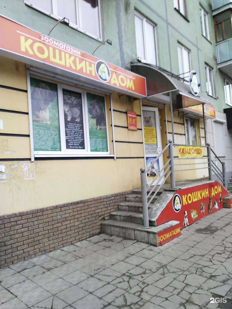 Отзывы на компанию Кошкин дом в Брянске c фото