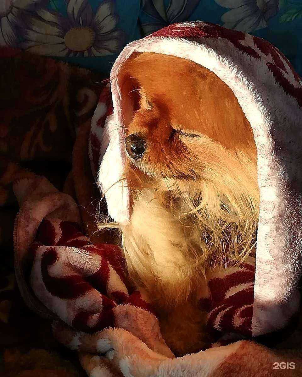 Отзывы на компанию Аквазоосад в Нижнем Новгороде c фото