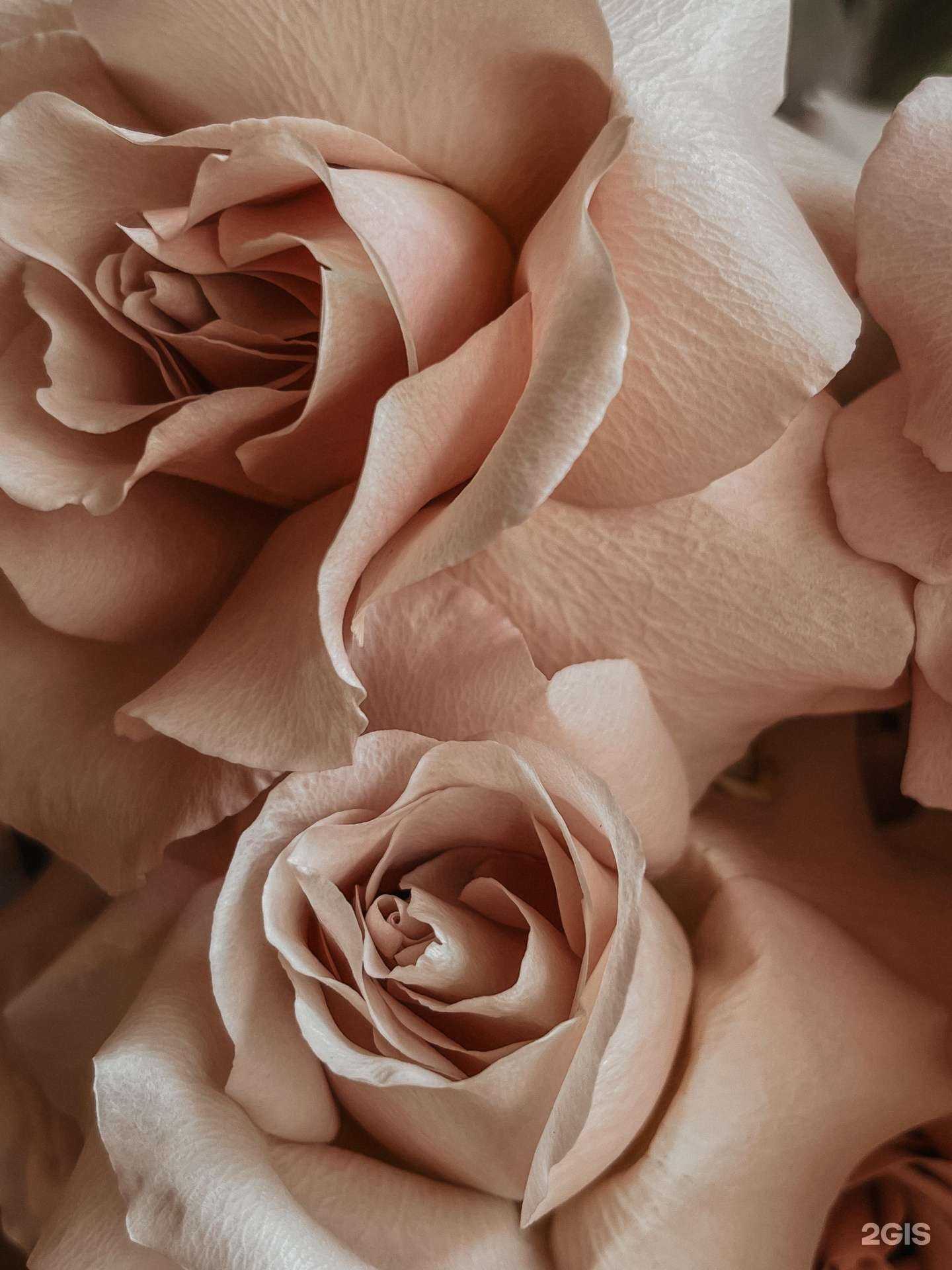 Отзывы на компанию Пространство в Перми c фото