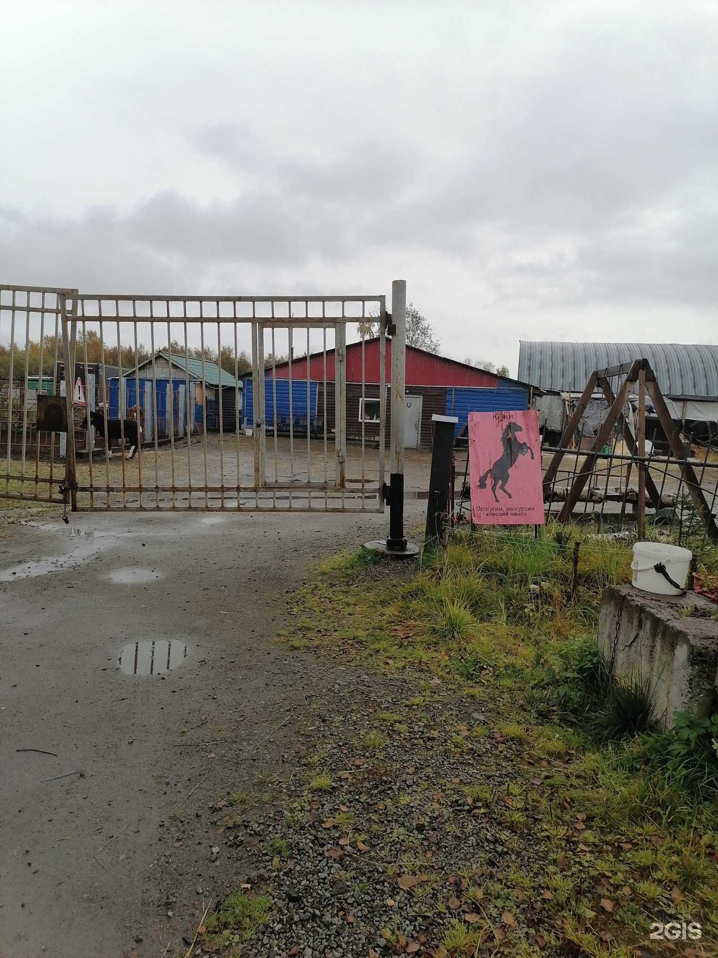 Отзывы на компанию Pegas в г. Апатиты c фото