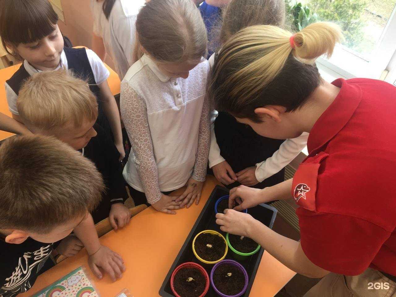 Отзывы на компанию Основная школа №15 в Калининграде c фото