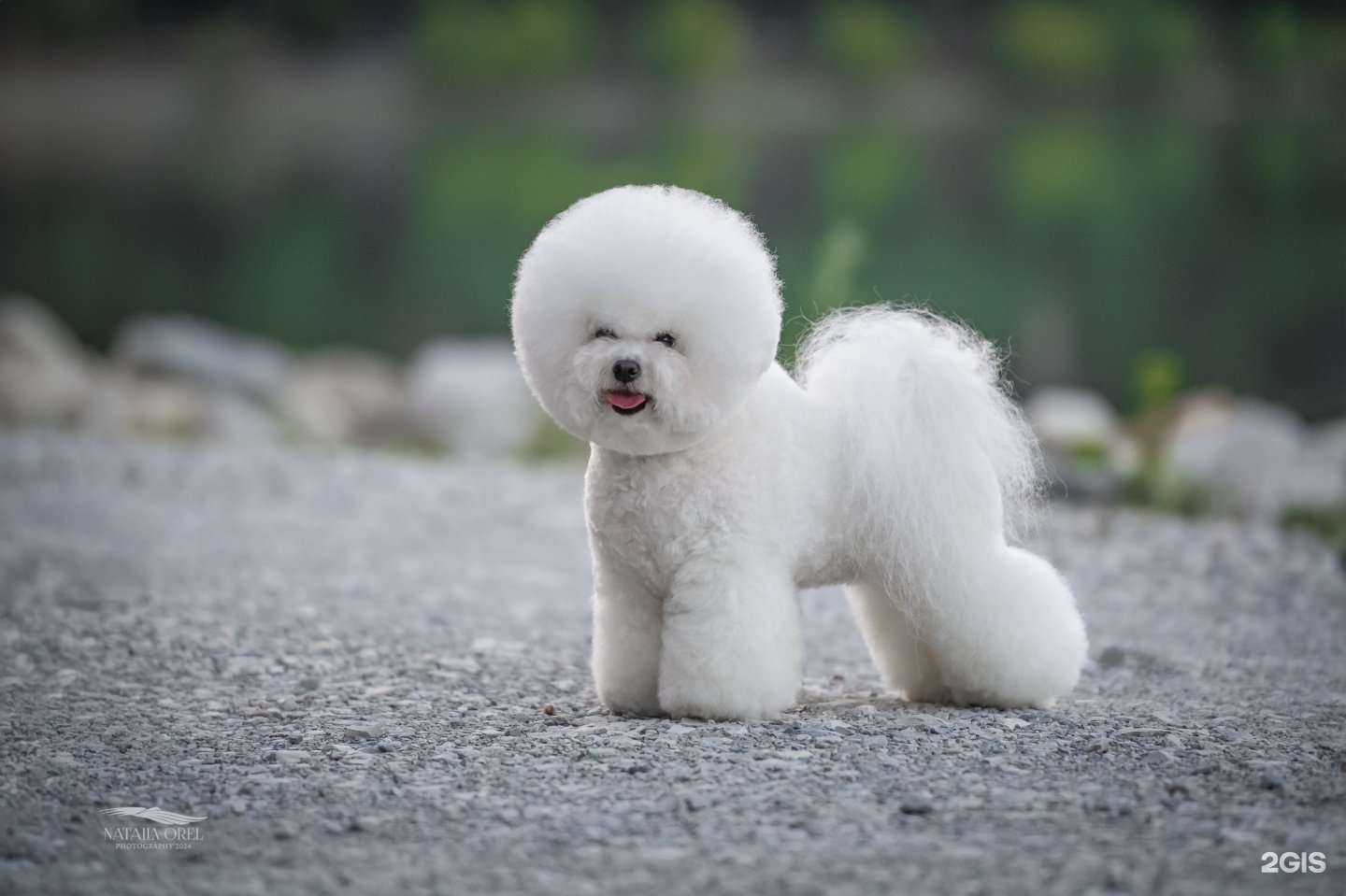 Отзывы на компанию Гла`Мур в Астрахани c фото