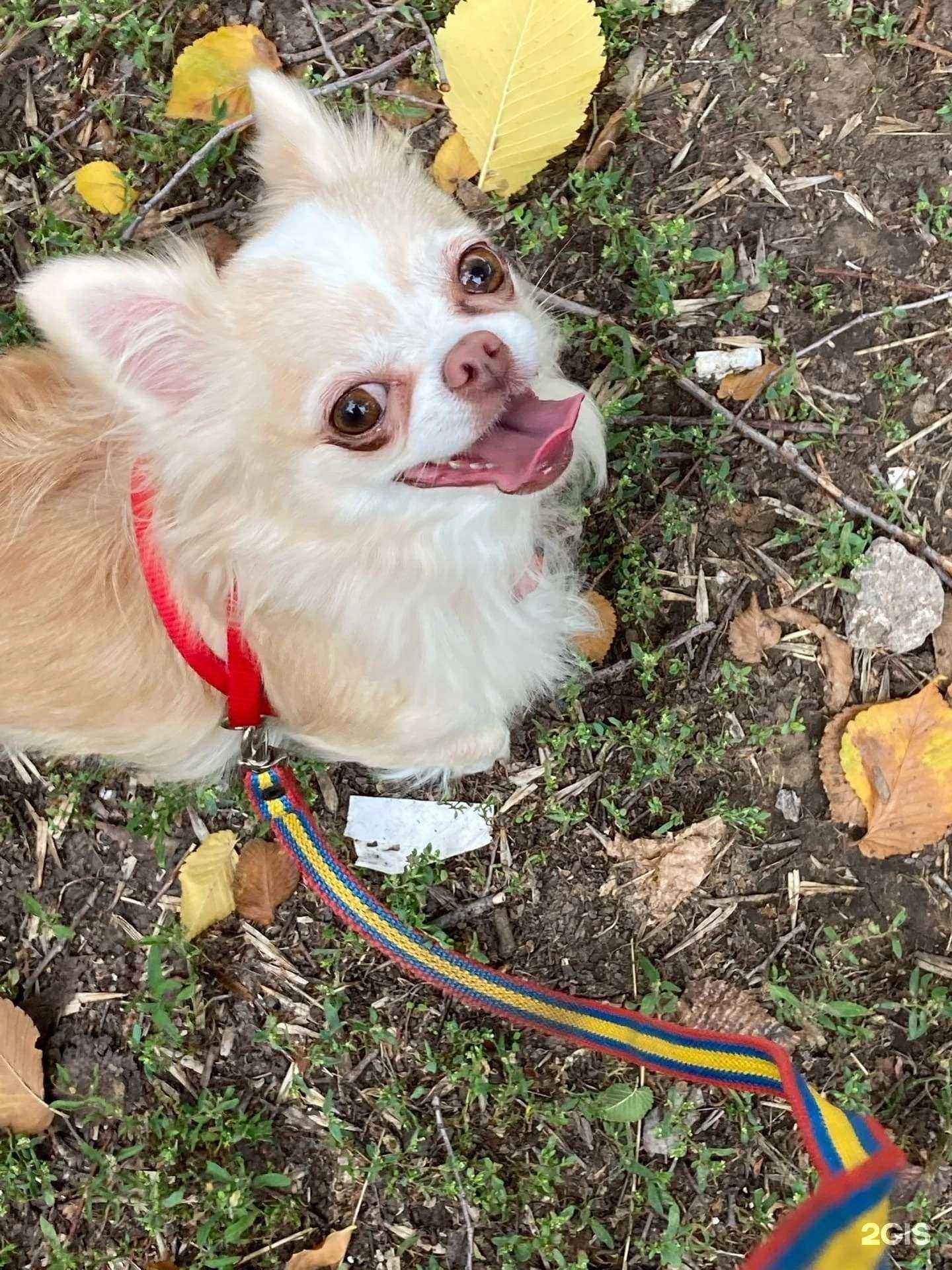 Отзывы на компанию Доброе в Норильске c фото