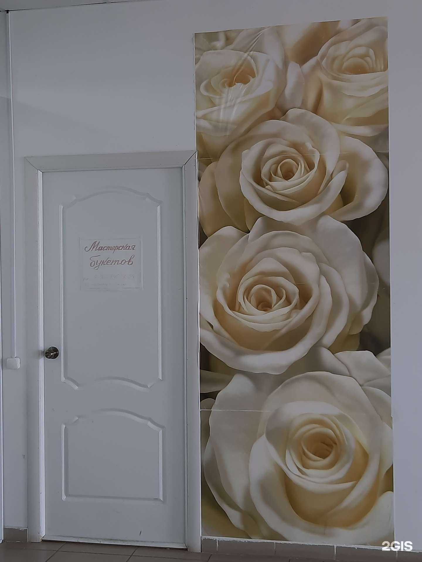 Отзывы на компанию Квесториум в г. Сызрань c фото