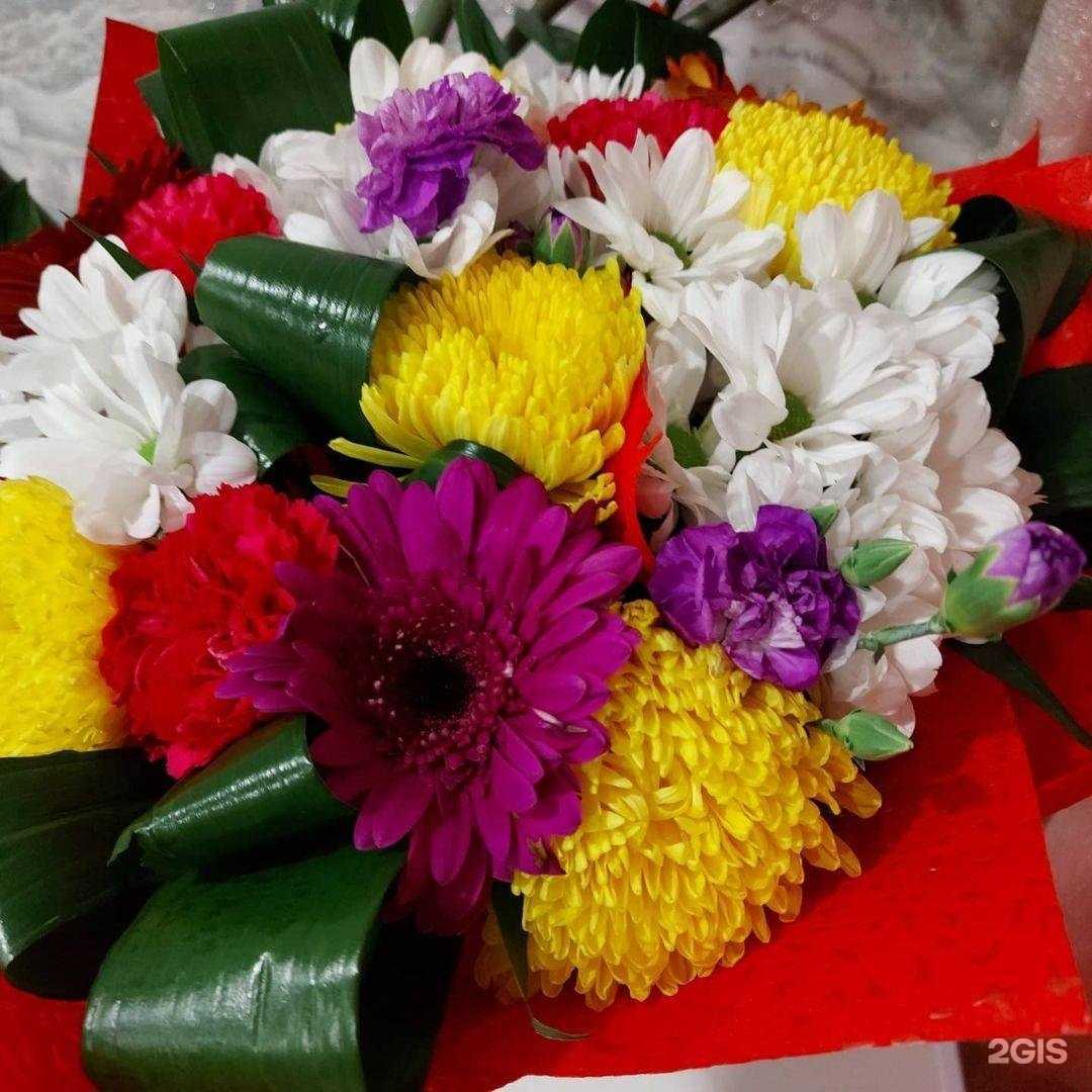 Отзывы на компанию Профбухгалтер в г. Чита c фото