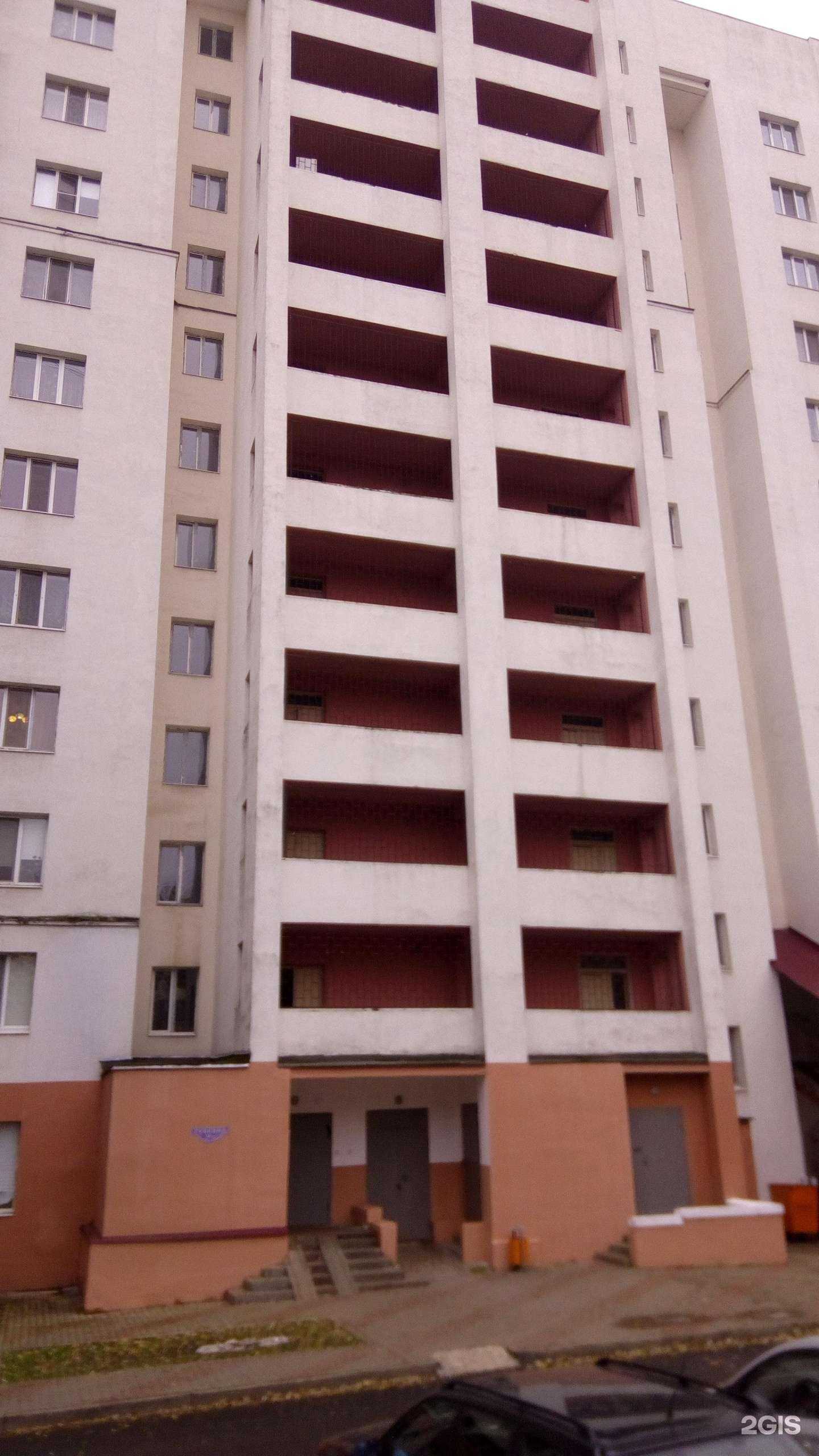 Отзывы на компанию Розы Белогорья в Белгороде c фото - фотография 2 из 2