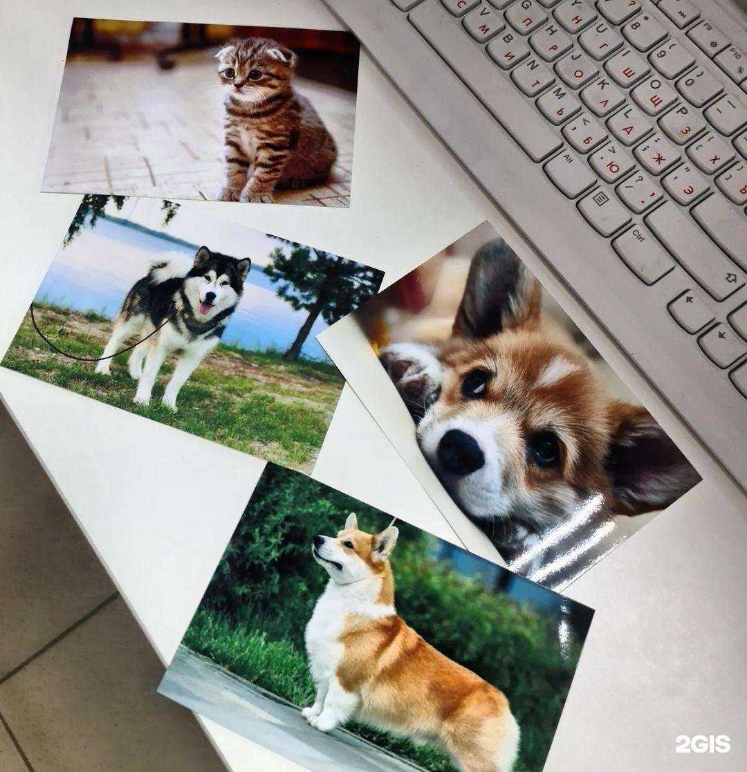 Отзывы на компанию Дело техники в Сургуте c фото