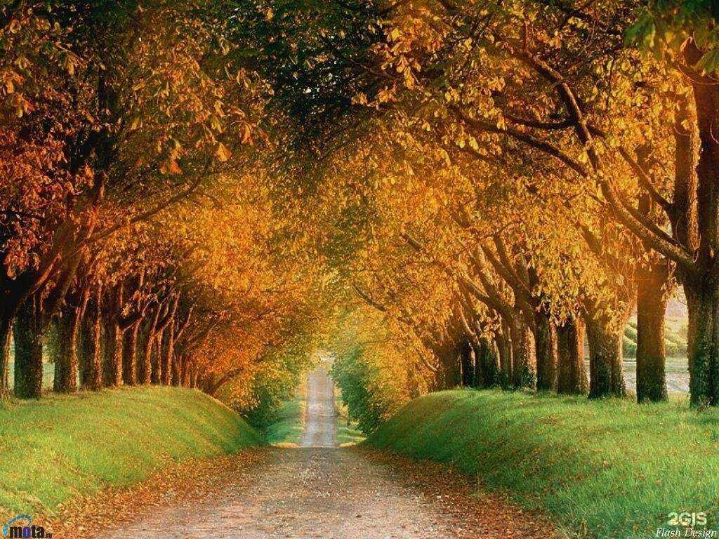 Отзывы на компанию Радость в Ставрополе c фото