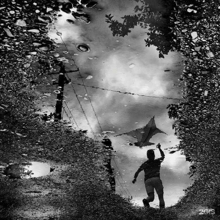 Отзывы на компанию Краснодарский выставочный зал в Краснодаре c фото