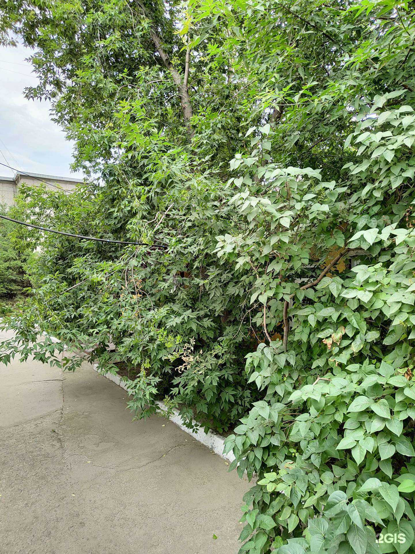 Отзывы на компанию Центр в Новосибирске c фото