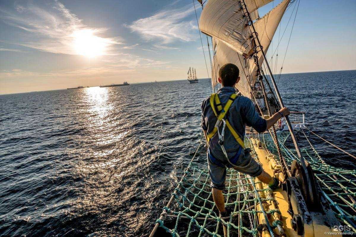 Отзывы на компанию Морской государственный университет им. адмирала Г.И. Невельского в г. Владивосток c фото