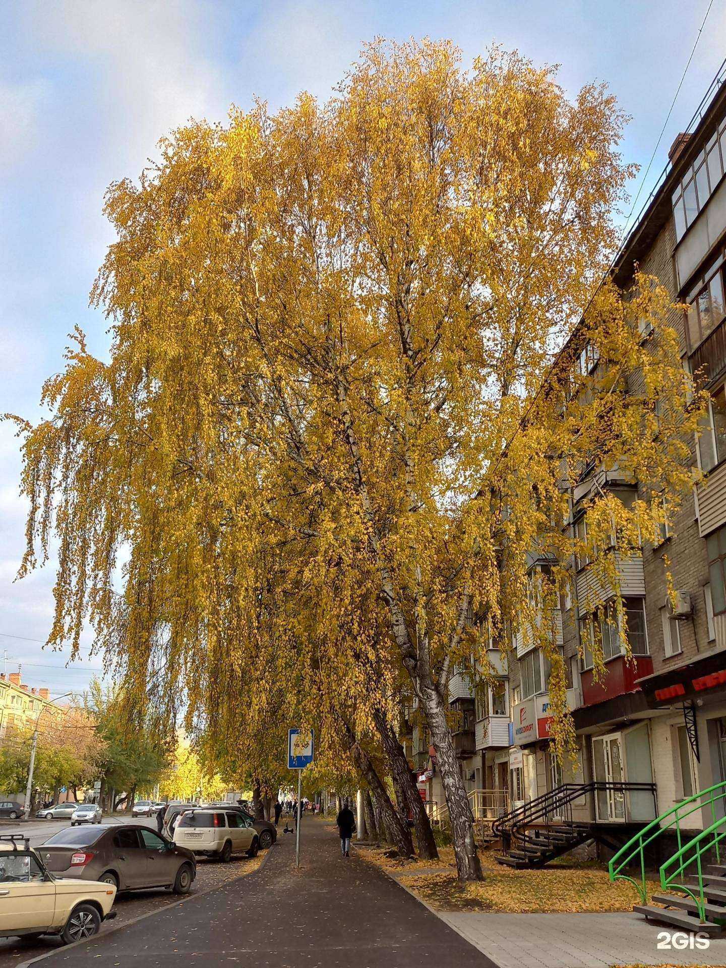 Отзывы на компанию Грейпфрут в Новосибирске c фото - фотография 2 из 2