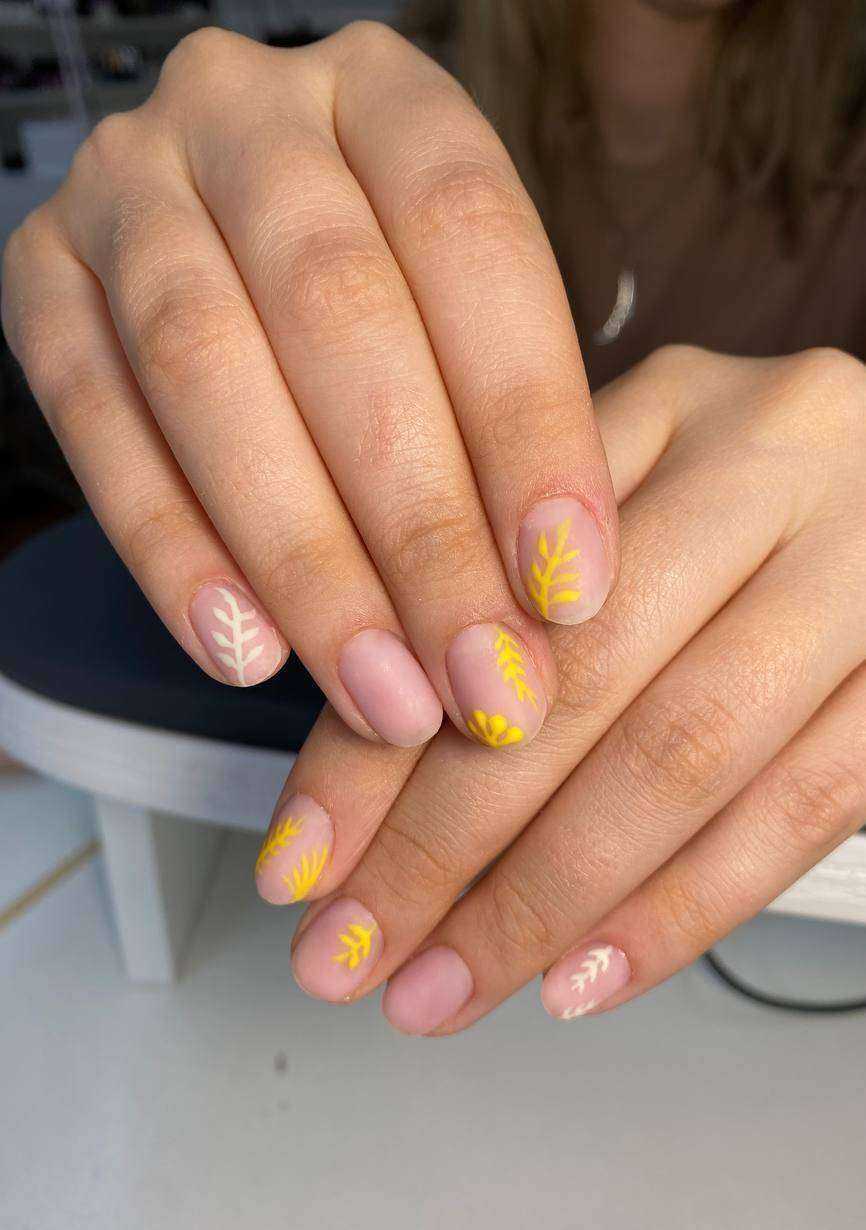 Отзывы на компанию Пушка в Иркутске c фото