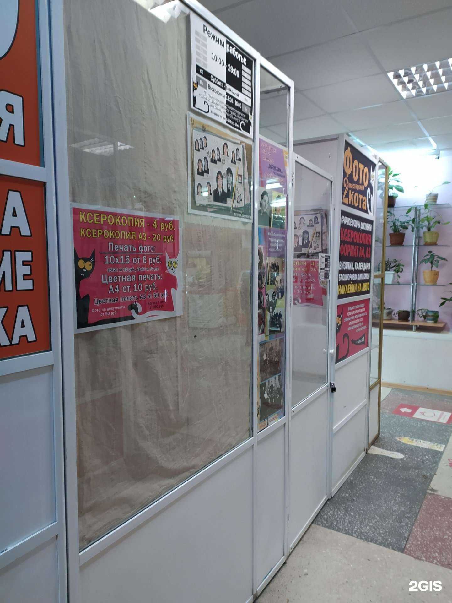 Отзывы на компанию 2кота в Омске c фото