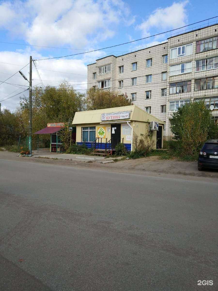 Отзывы на компанию Путина в Сыктывкаре c фото