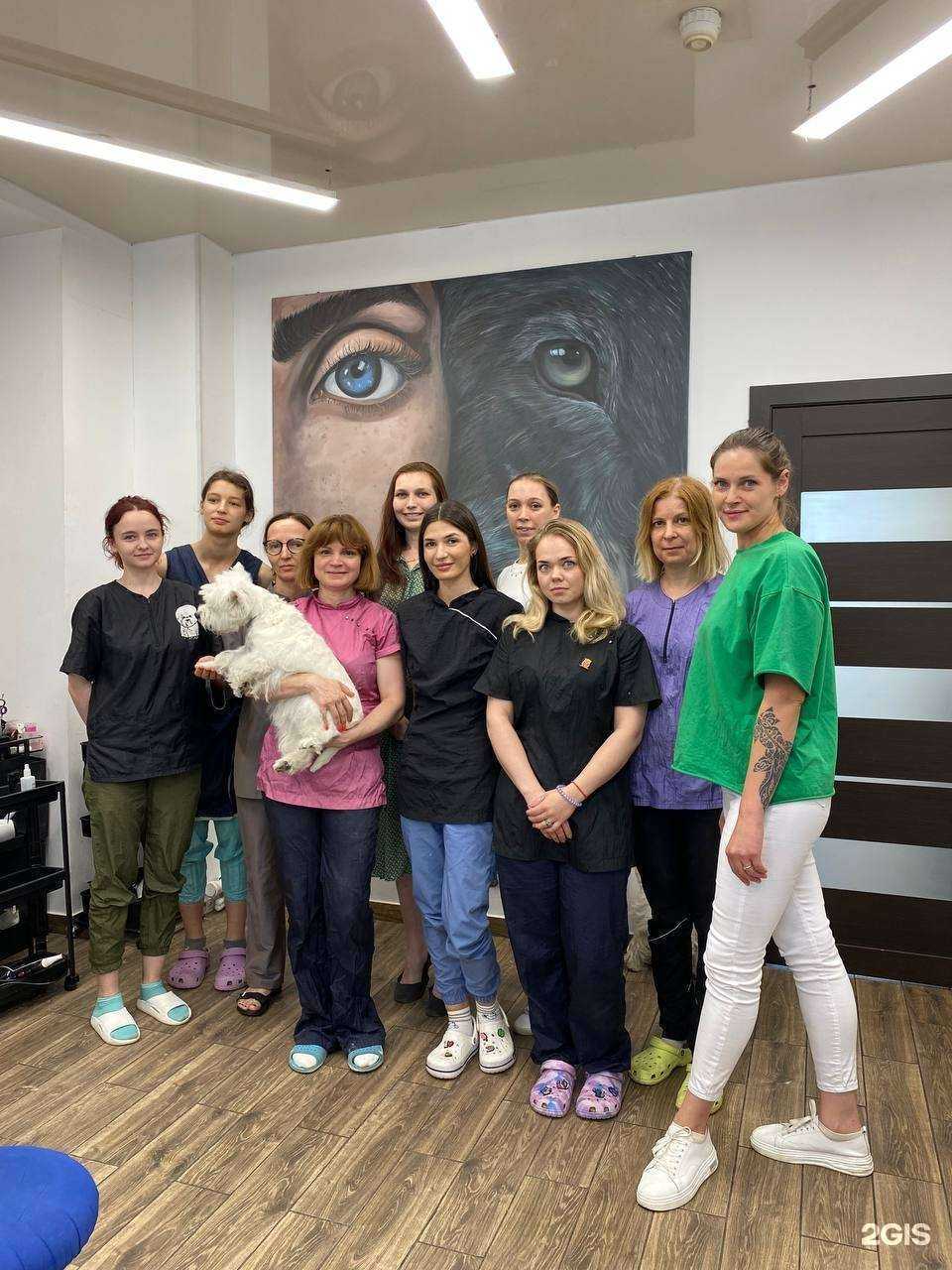 Отзывы на компанию Urbandog в Екатеринбурге c фото