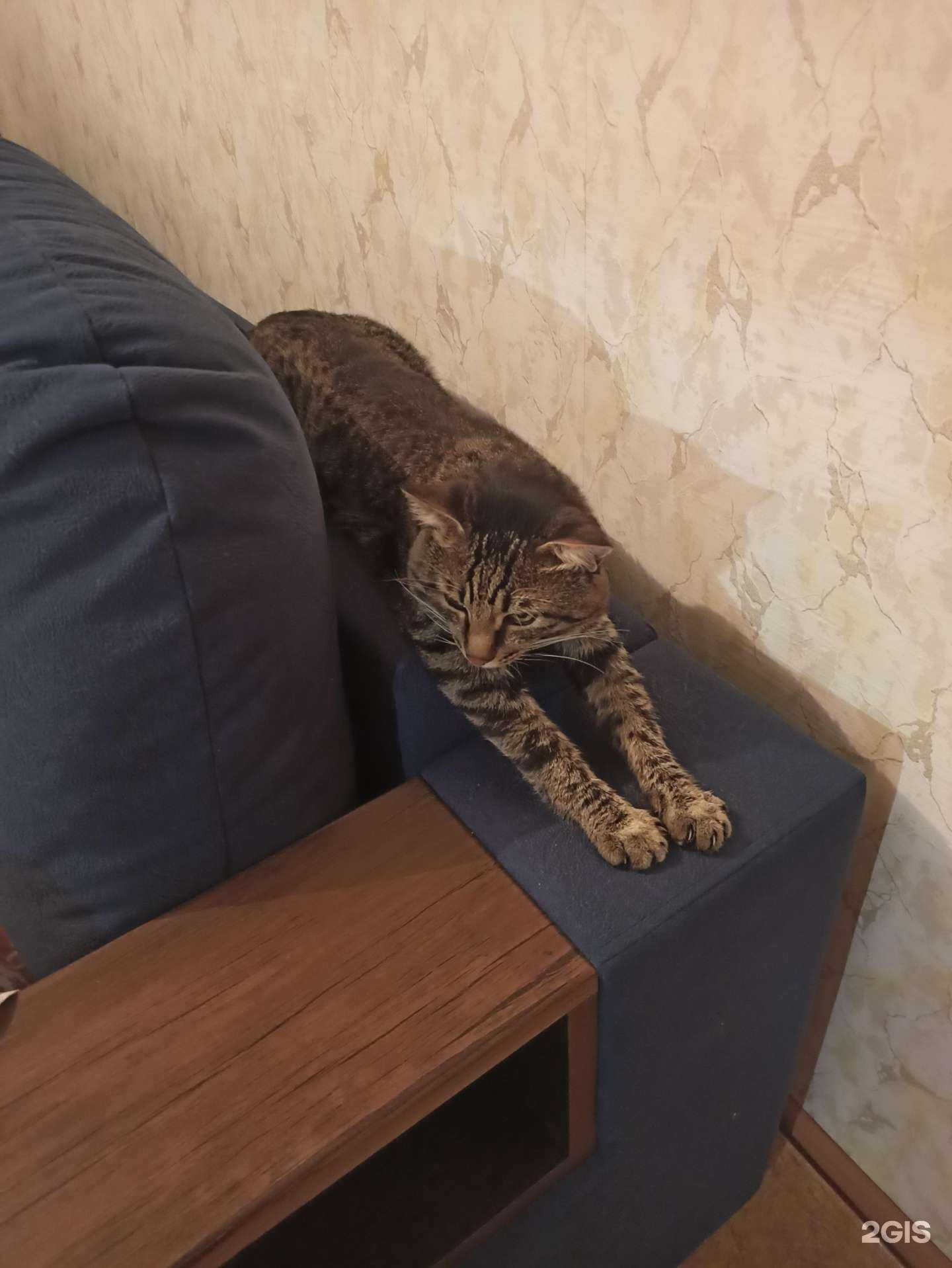 Отзывы на компанию Интеграл в Уфе c фото