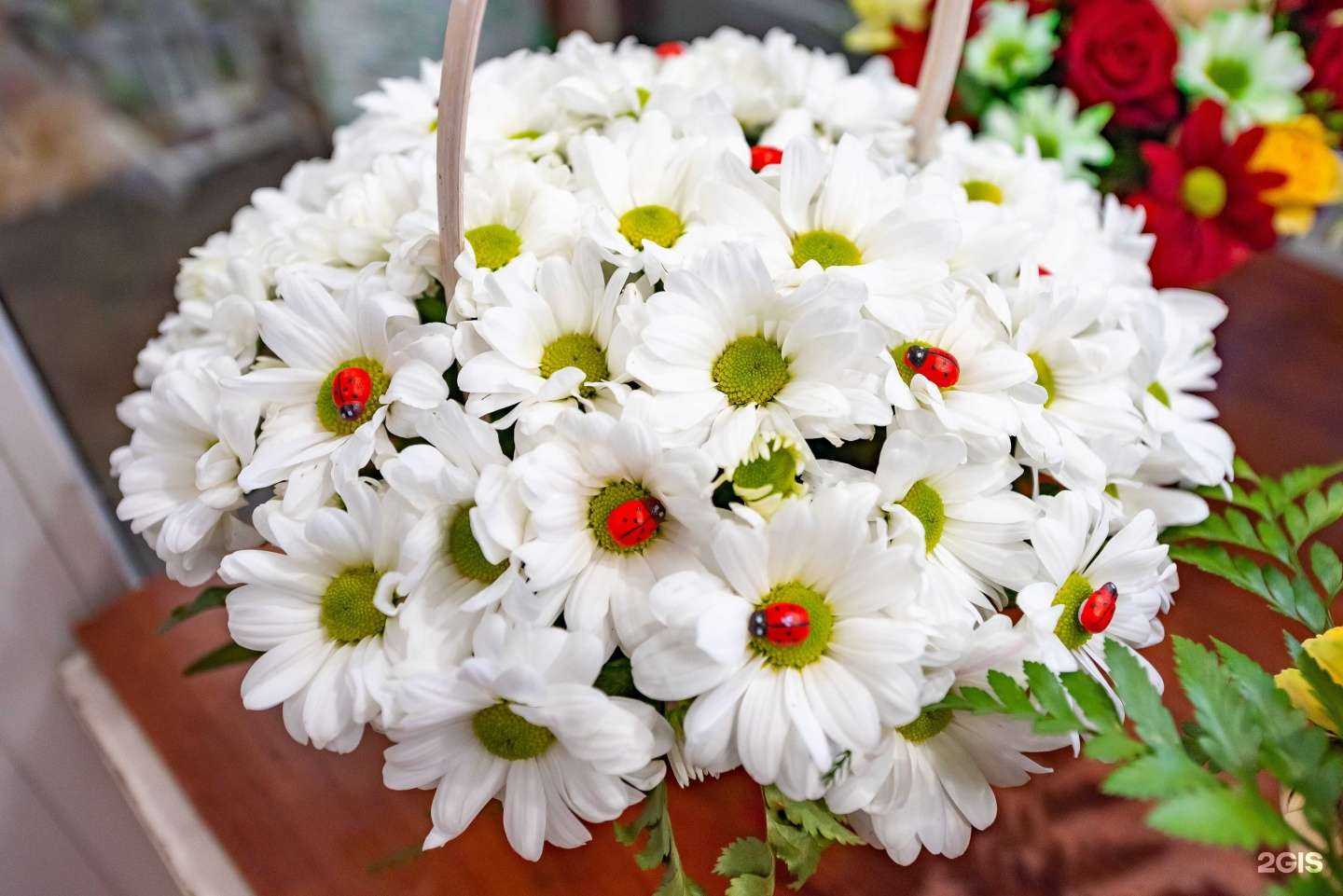 Отзывы на компанию Магазин цветов в Люберцах c фото