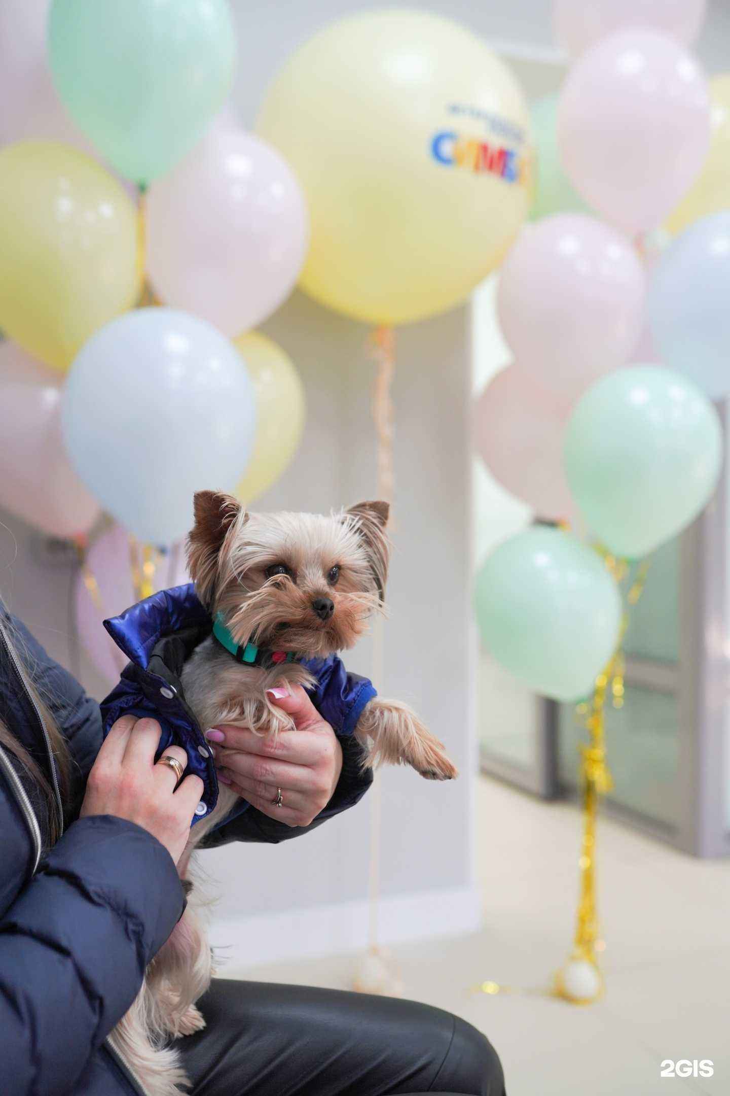 Отзывы на компанию Симба в г. Иркутск c фото