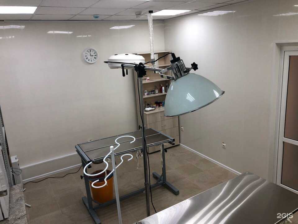 Отзывы на компанию Cane-сorso в г. Челябинск c фото