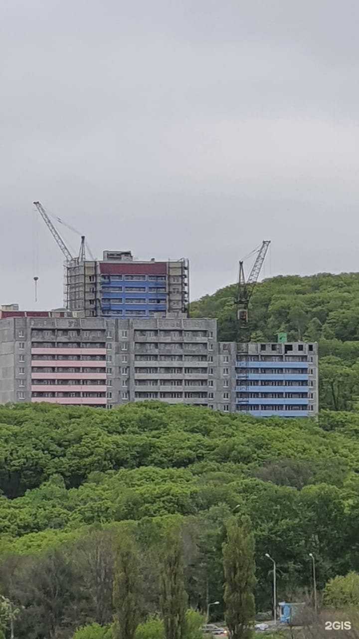 Отзывы на компанию Кики в Владивостоке c фото