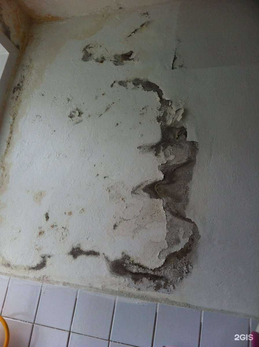 Отзывы на компанию Росинка в г. Смоленск c фото