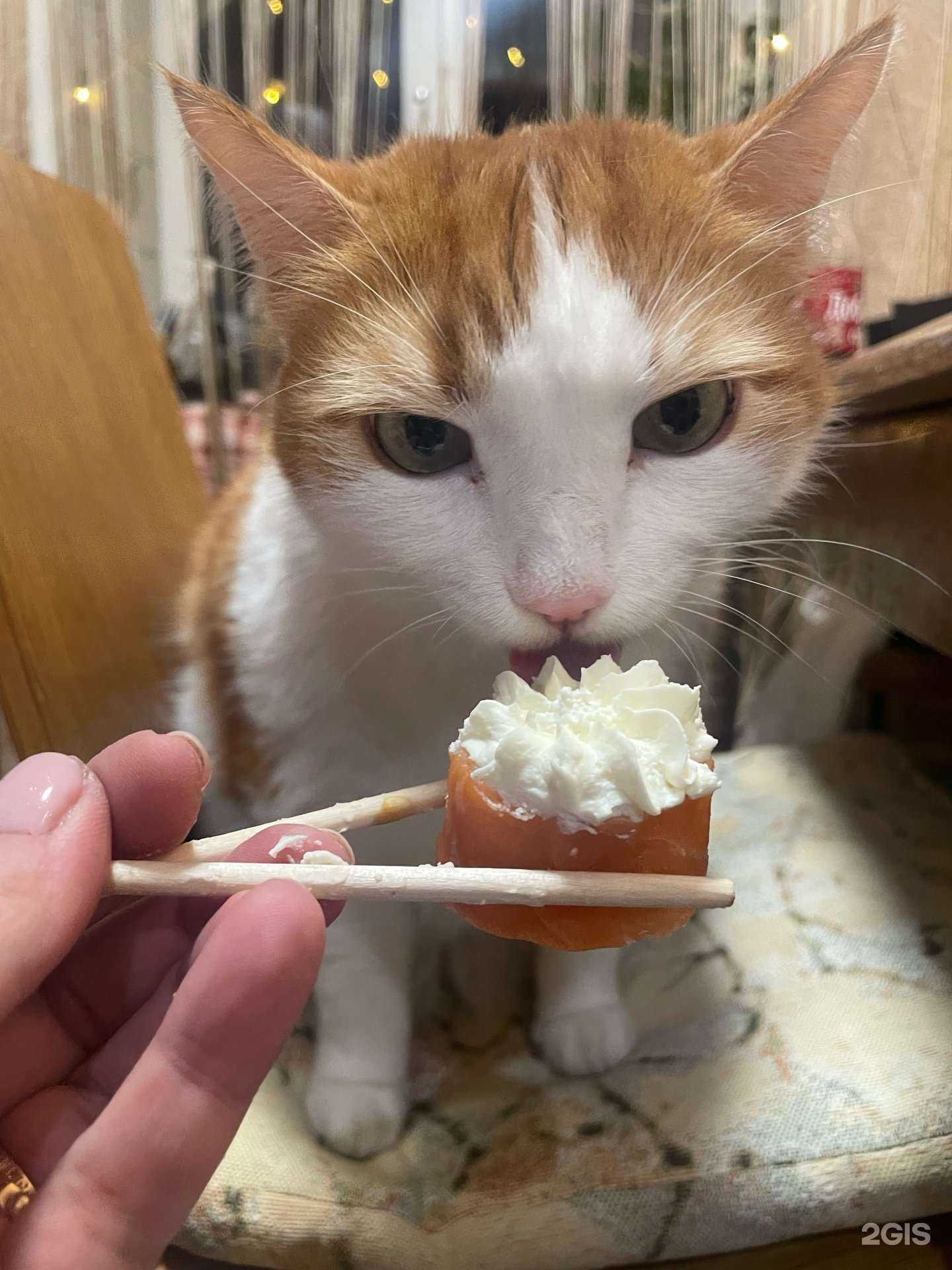 Отзывы на компанию Суши от Зебруши в Новосибирске c фото