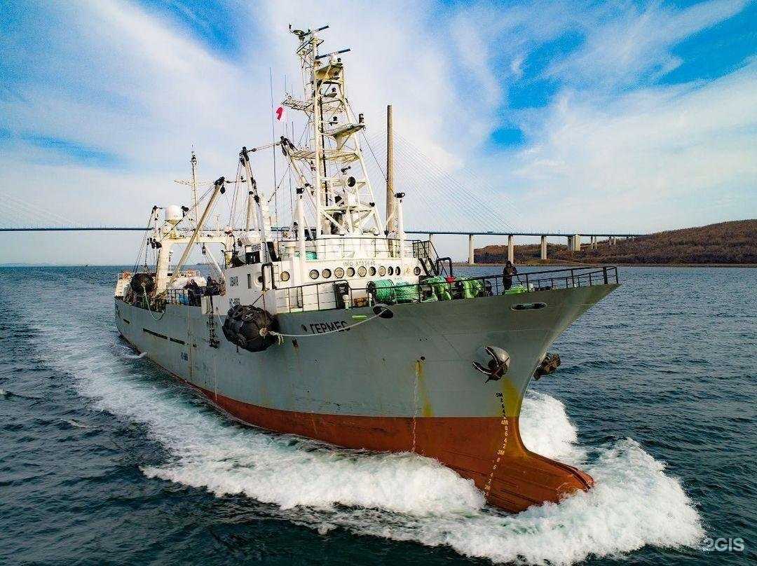 Отзывы на компанию Росрыбфлот в г. Владивосток c фото