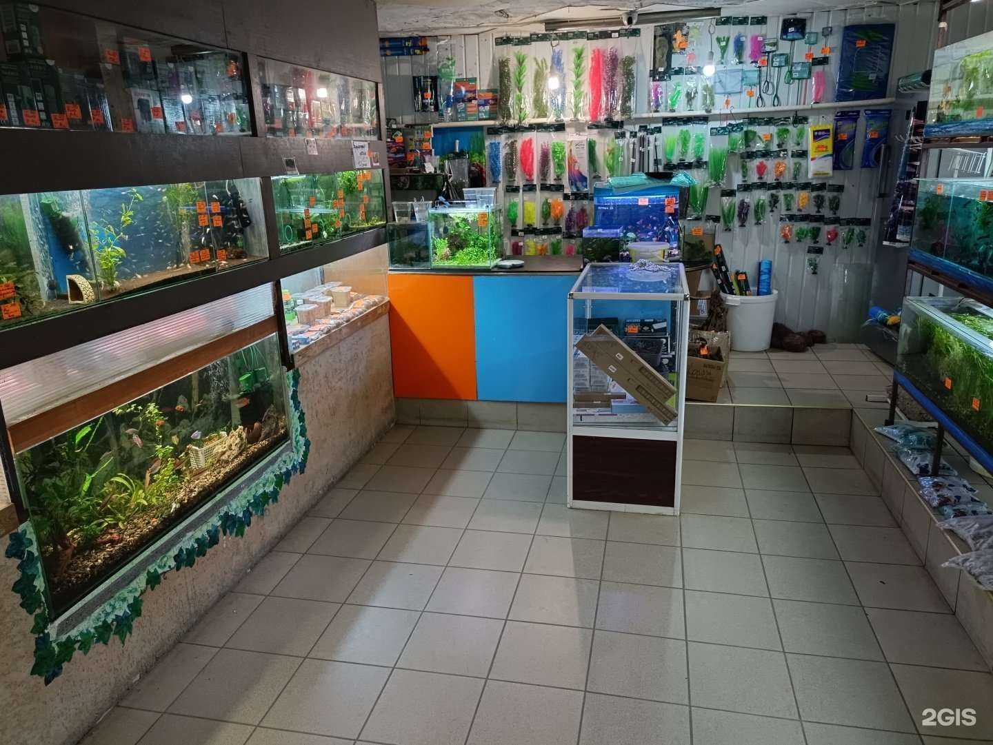 Отзывы на компанию Магазин аквариумистики в Невинномысске c фото