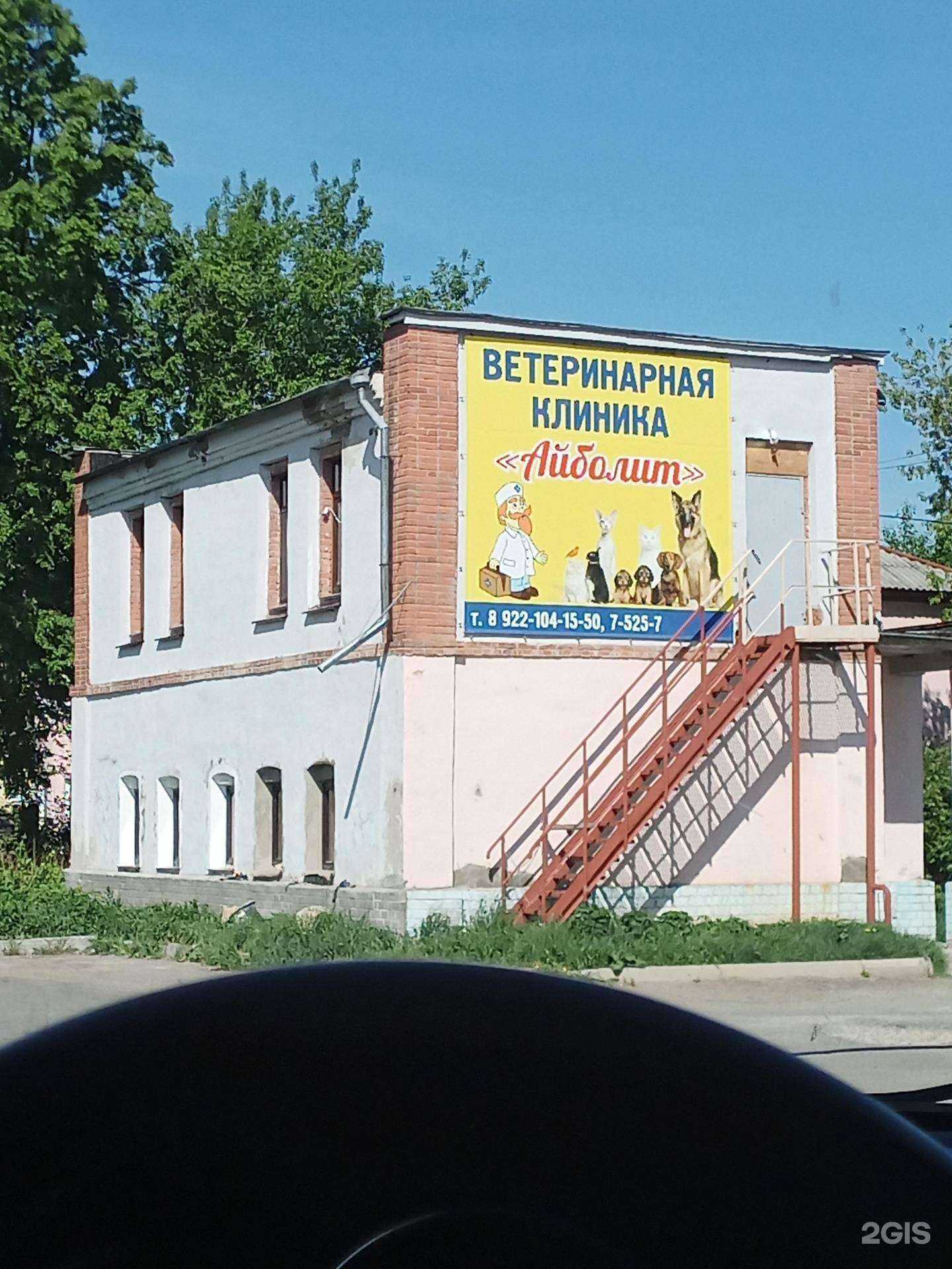 Отзывы на компанию Айболит, ветеринарная клиника в г. Новоуральск c фото