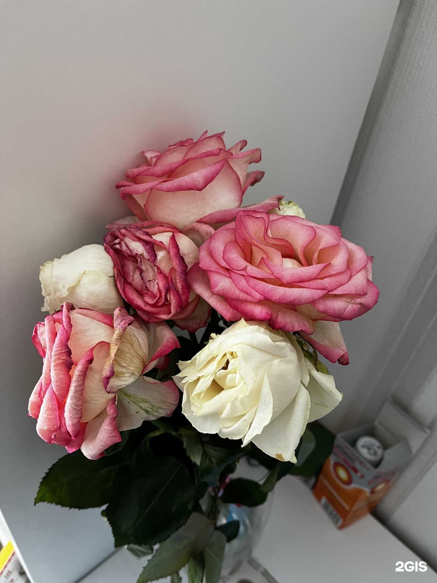 Отзывы на компанию Самцветок №1 в Самаре c фото