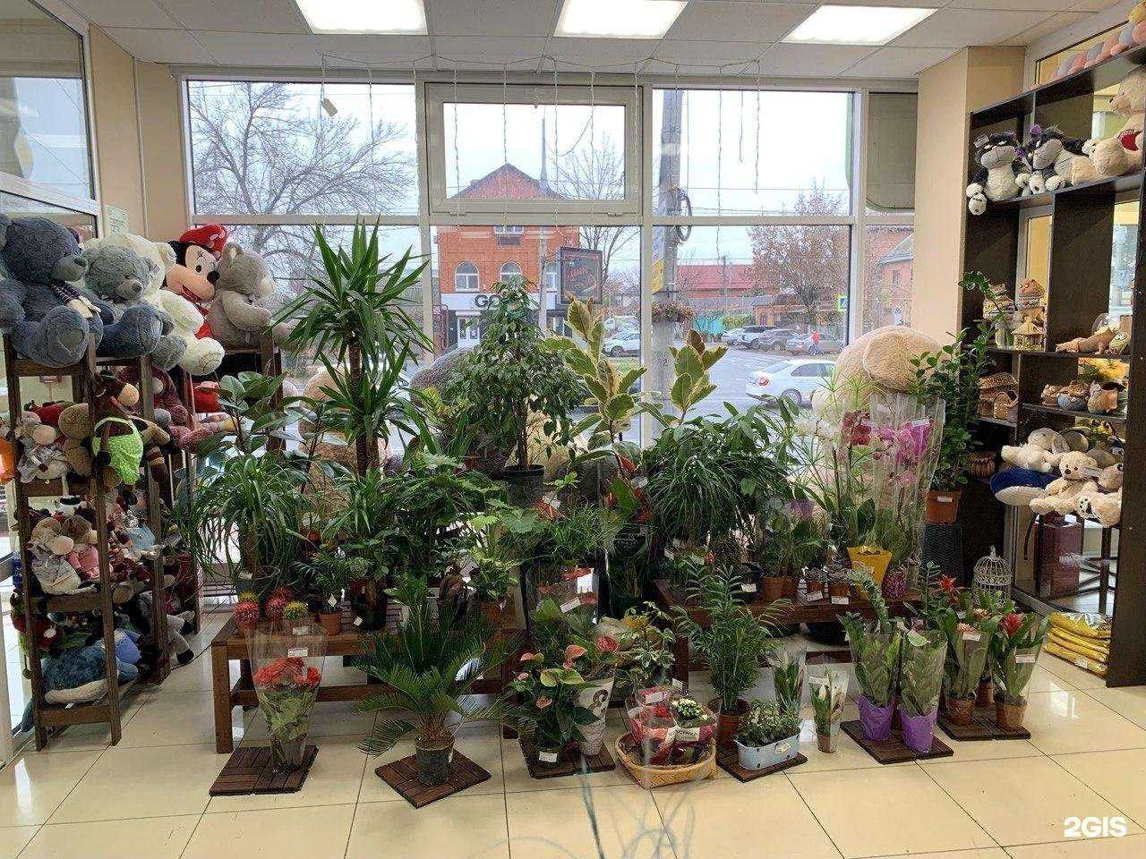 Отзывы на компанию Цветочный склад в г. Краснодар c фото