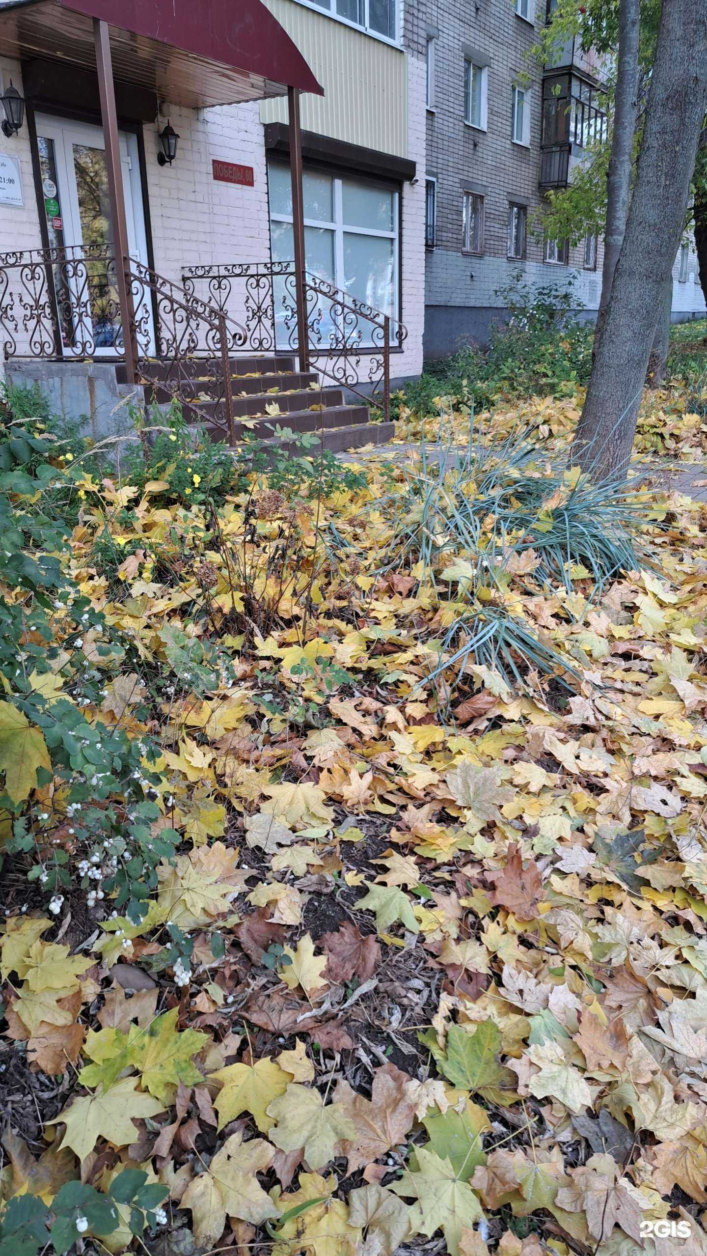 Отзывы на компанию Beautiful life в г. Ярославль c фото